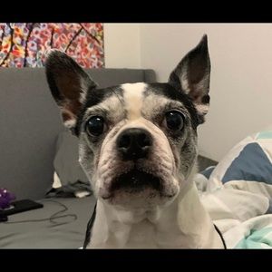 Meet your Posher, John